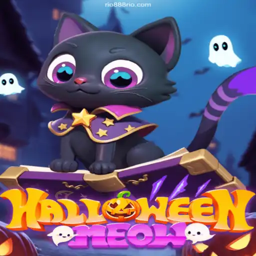 HalloweenMeow: Dive into a Spooky Adventure with Thrills and Chills